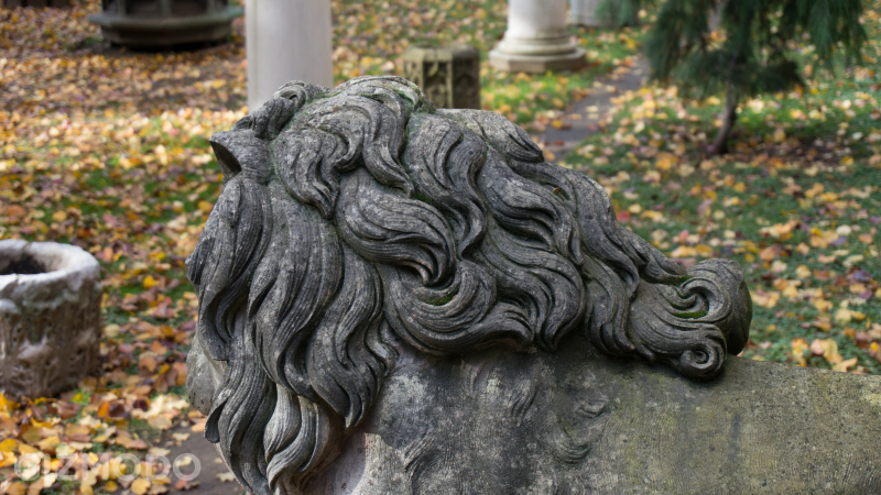 Illustration for article titled Sony NEX-6 Gallery: Sample Images